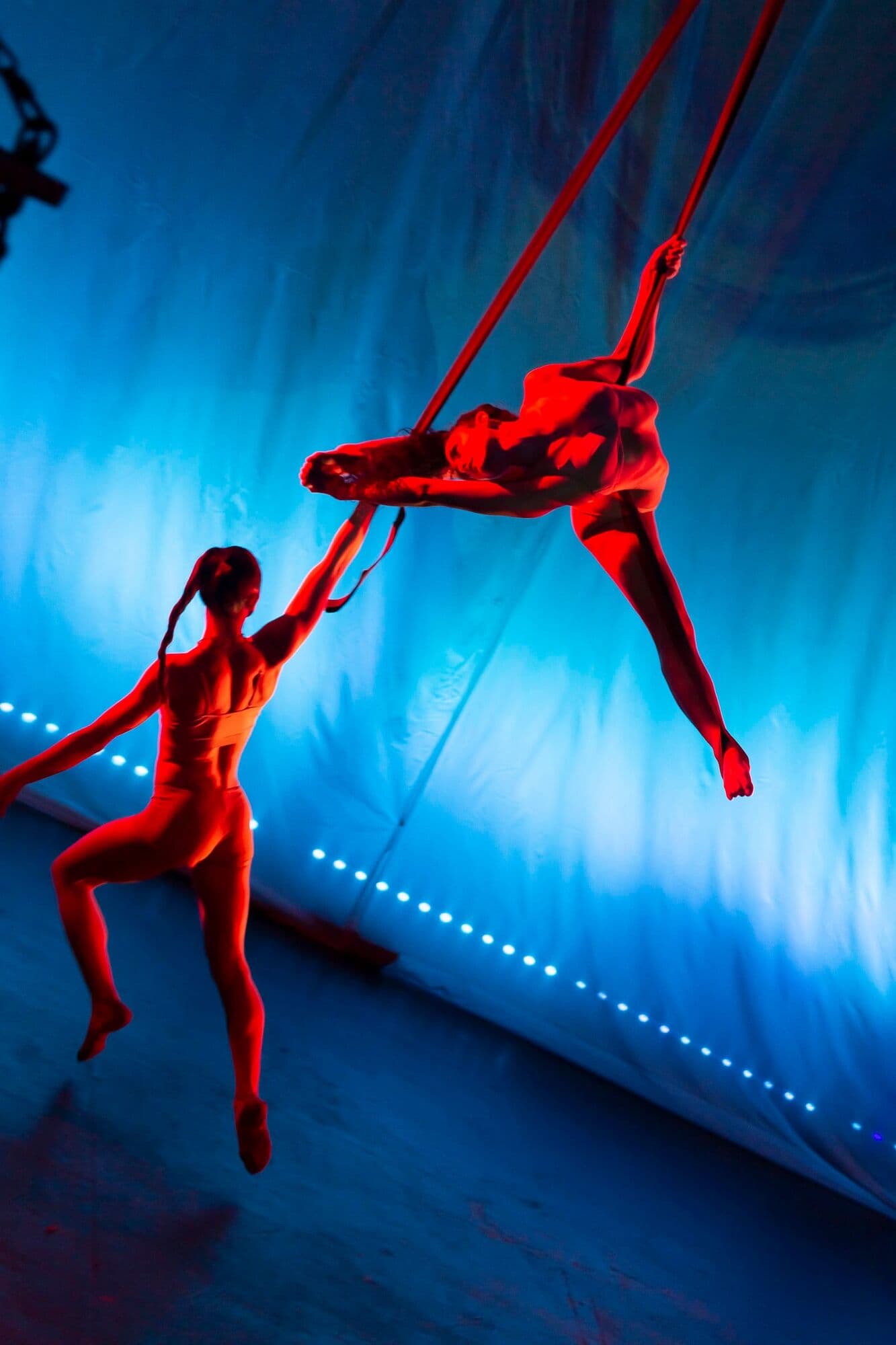 Warm rose performance