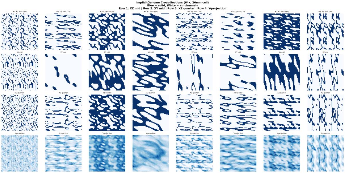 Cross-sections through eight evolved geometries — XZ mid, XY mid, XZ quarter, and Y projection views