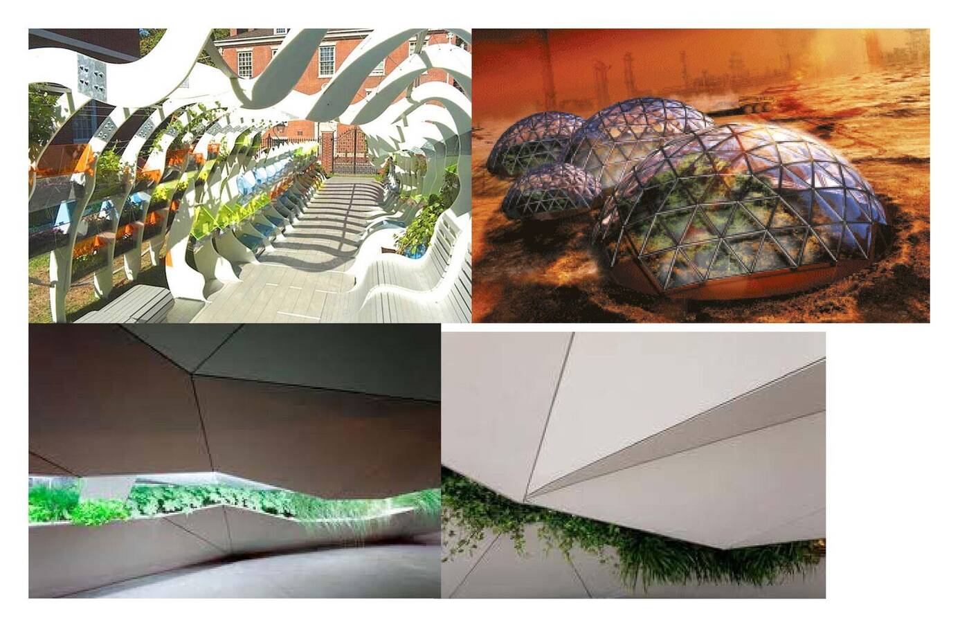 Biophilic architecture references