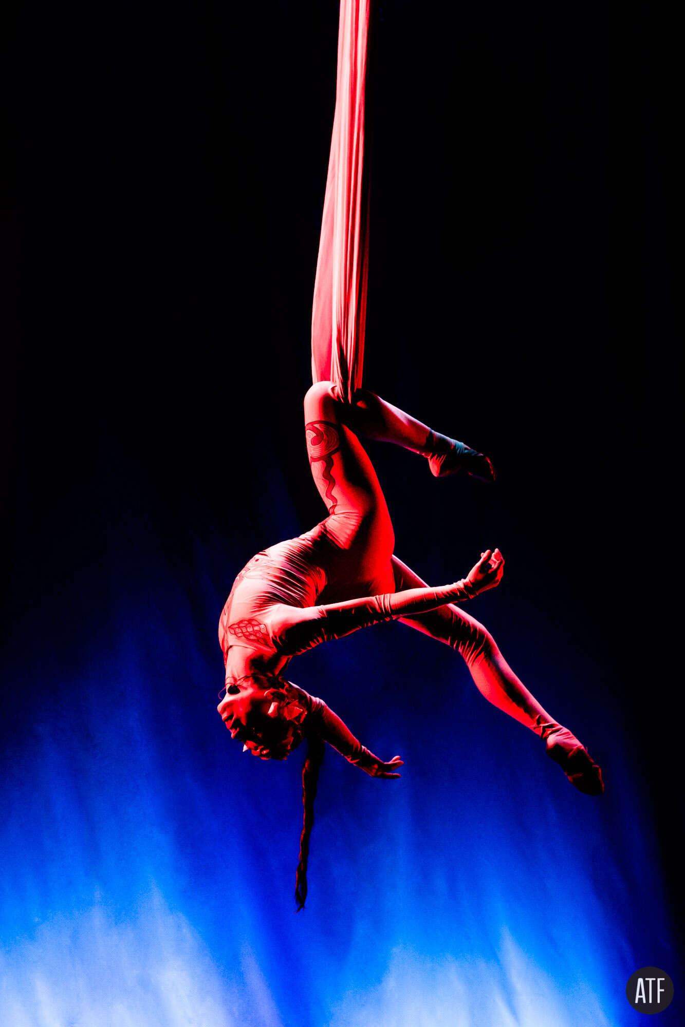 Blue-violet performer